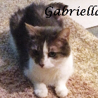Gabriella .2000-2015